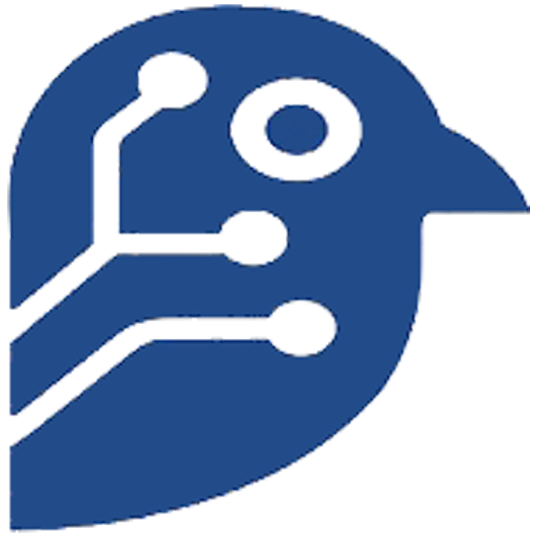 Birdseye Technology Logo